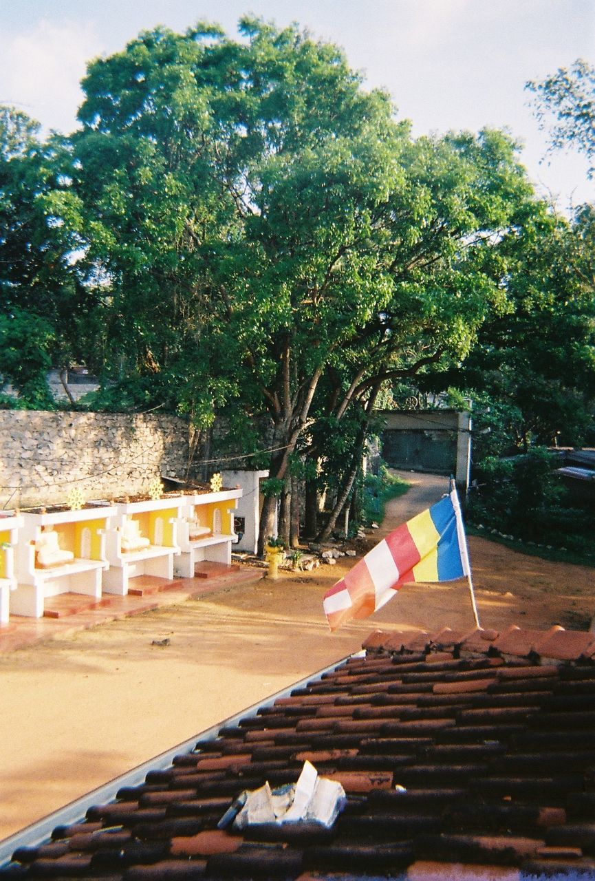 FLAG ON TREES AGAINST SKY