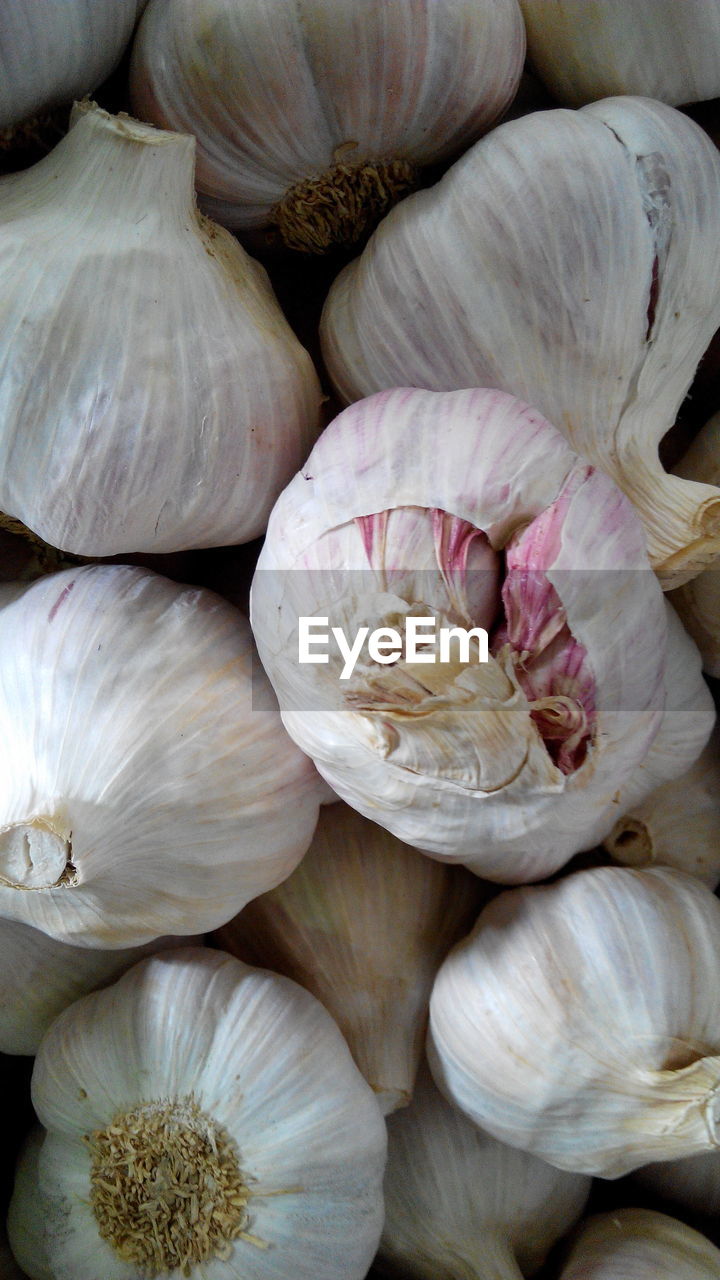 Full frame shot of garlic