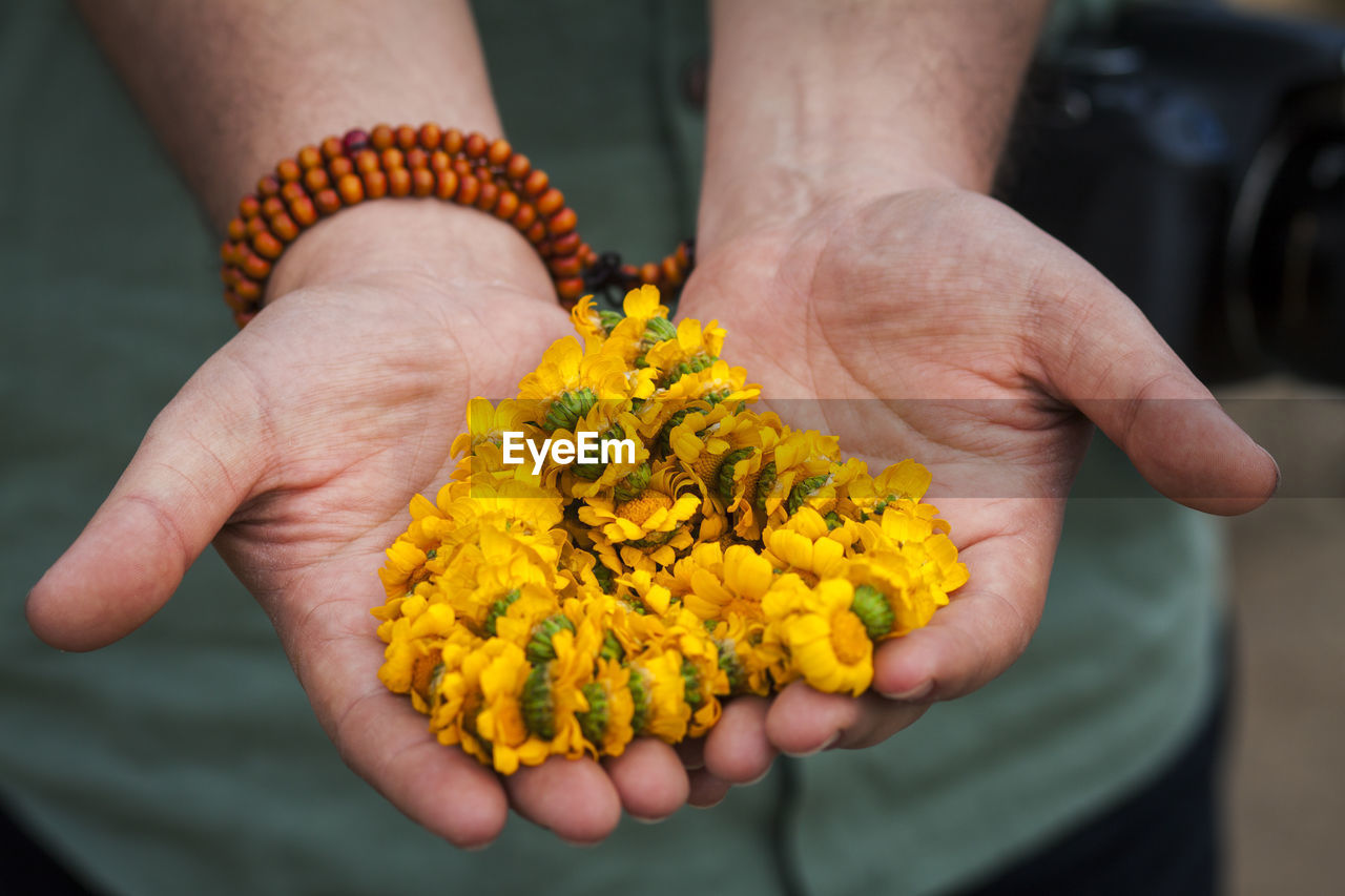 Close-up of human hand holding yellow flower