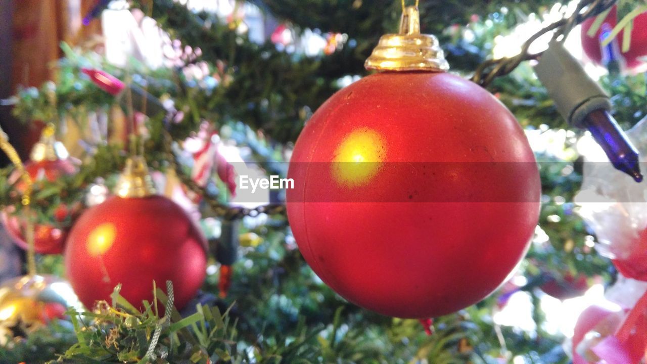 Close-up of christmas ornament hanging on tree