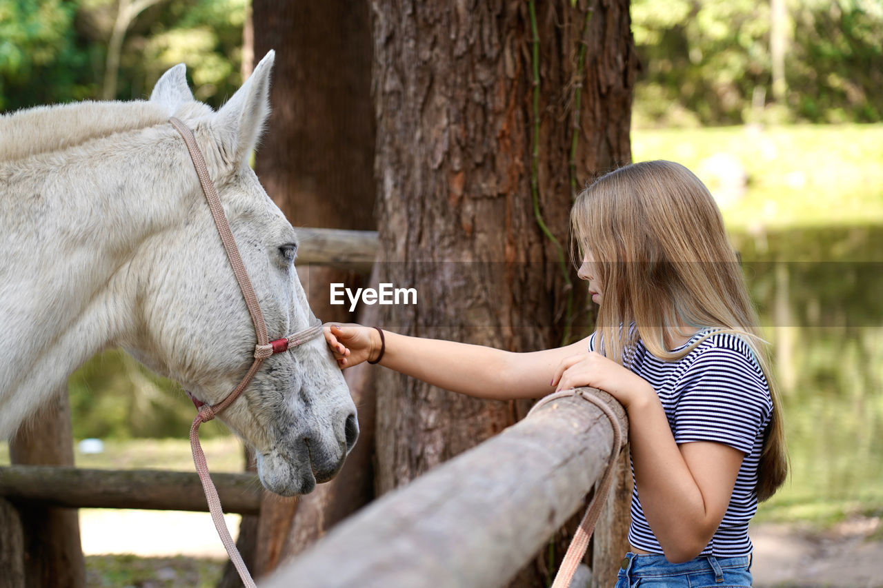 Girl stroking a horse