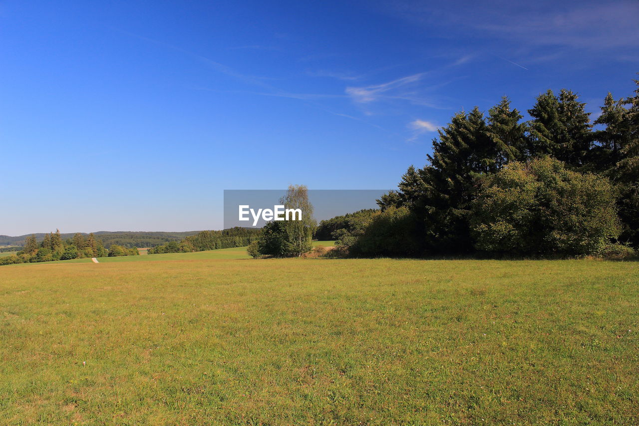 plant, sky, tree, landscape, natural environment, grass, grassland, meadow, environment, nature, hill, land, field, prairie, pasture, horizon, scenics - nature, plain, beauty in nature, blue, tranquility, rural area, no people, green, tranquil scene, growth, non-urban scene, rural scene, day, morning, cloud, clear sky, sunlight, outdoors, autumn, wilderness, plateau, agriculture, idyllic