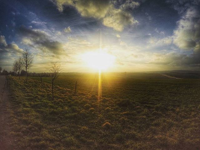 SUNSET OVER FIELD