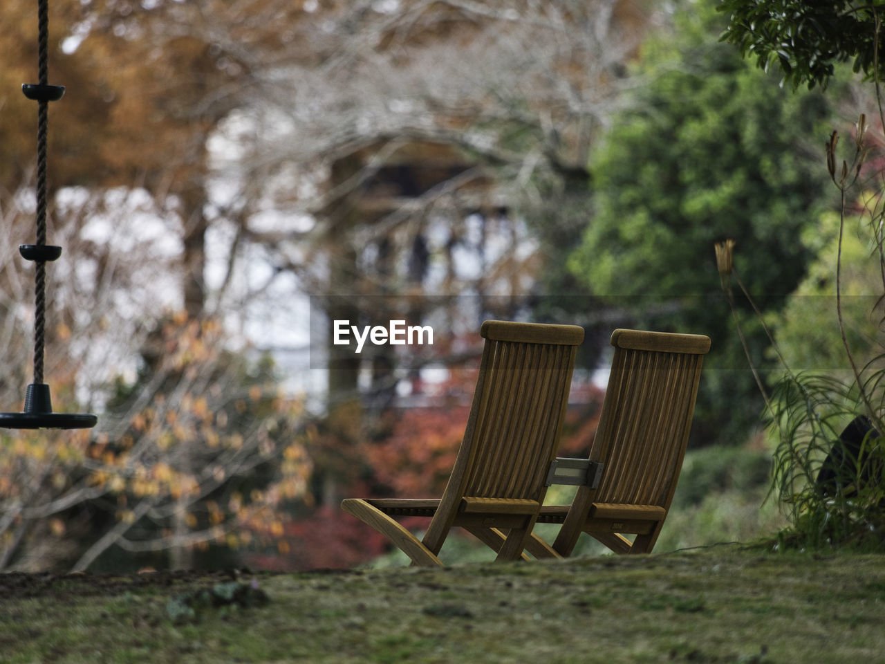 plant, seat, nature, tree, chair, absence, no people, grass, autumn, empty, day, backyard, focus on foreground, outdoors, land, tranquility, furniture, bench, green, field, rural area, growth, wood, beauty in nature, table