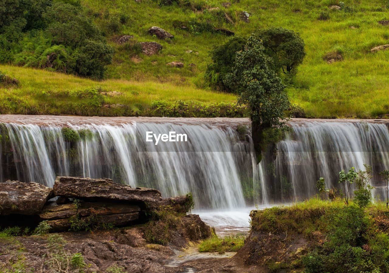 Scenic view of waterfall in forest