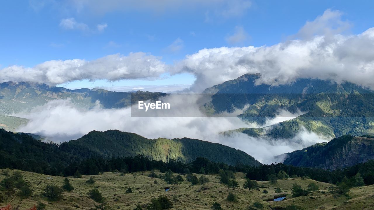 mountain, environment, scenics - nature, landscape, mountain range, sky, nature, cloud, beauty in nature, land, wilderness, forest, tree, travel, fog, plant, ridge, plateau, valley, mountain peak, travel destinations, no people, pinaceae, social issues, pine tree, tourism, coniferous tree, outdoors, non-urban scene, activity, tranquility, blue, mountain pass, tranquil scene, cold temperature, pine woodland, environmental conservation, vacation, trip, leisure activity, holiday, rural scene, day, winter, snow, idyllic, meadow, summer, highland, morning, rock