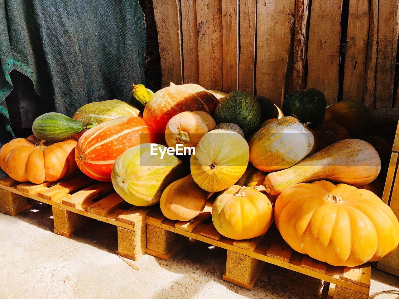 High angle view of pumpkins on table