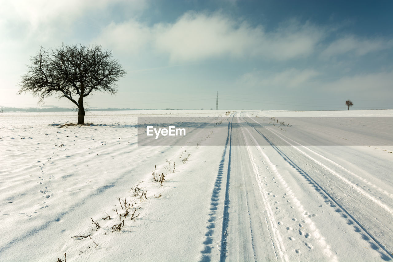 Snow-covered road and a lonely tree on the horizon, winter view