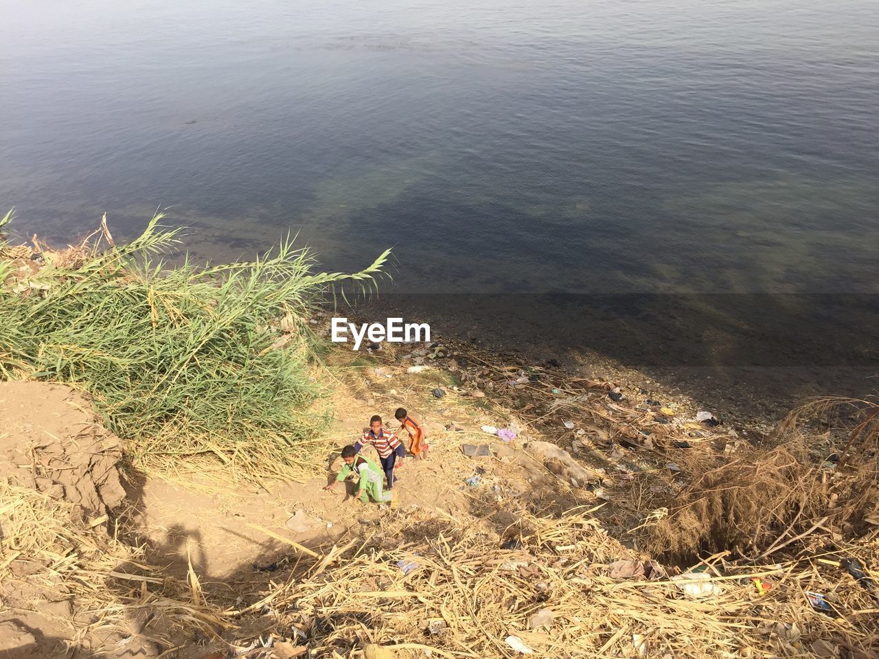 HIGH ANGLE VIEW OF WATER ON FARM