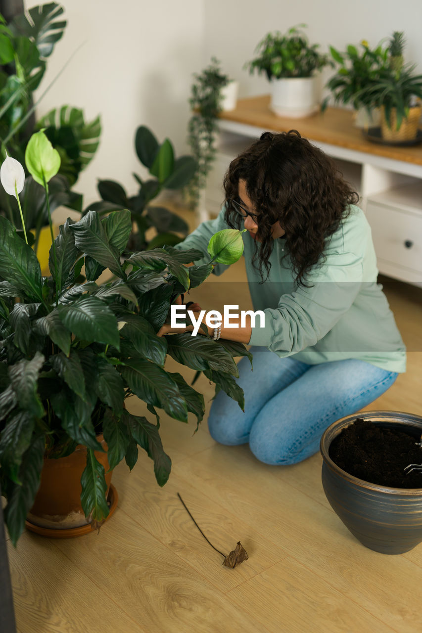 high angle view of dog by potted plant on table