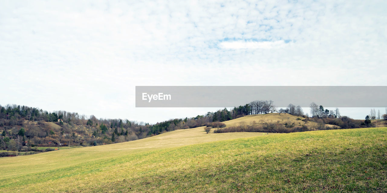 Scenic view of field against sky