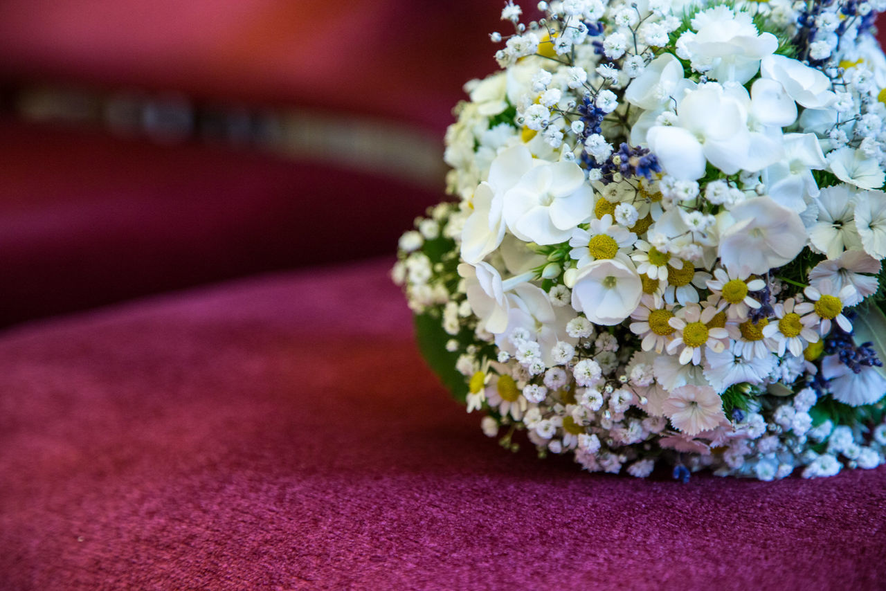 CLOSE-UP OF FLOWER BOUQUET