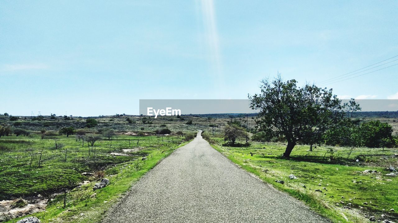 EMPTY ROAD ALONG TREES AND PLANTS