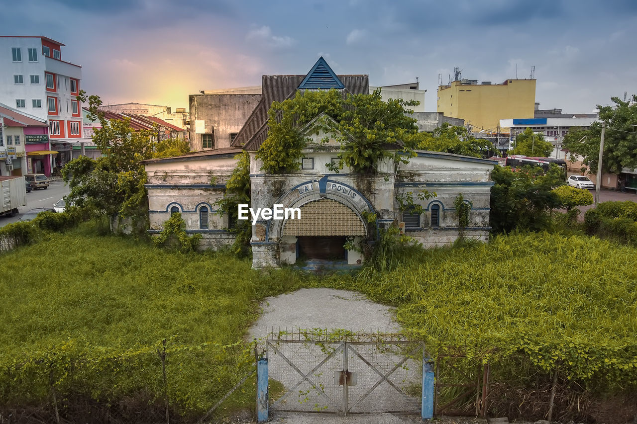 Plants and old building in city against sky