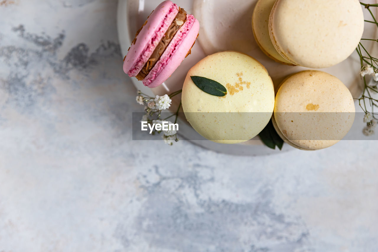 Macaron with gypsophila flowers. pastel colors french dessert with fresh flowers.