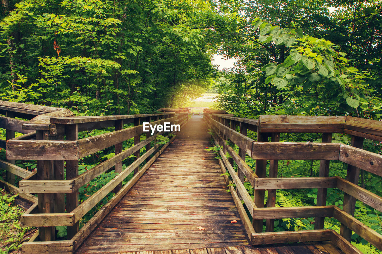 Beautiful landscape day view at canadian ontario kettles lake in midland with wooden path way 