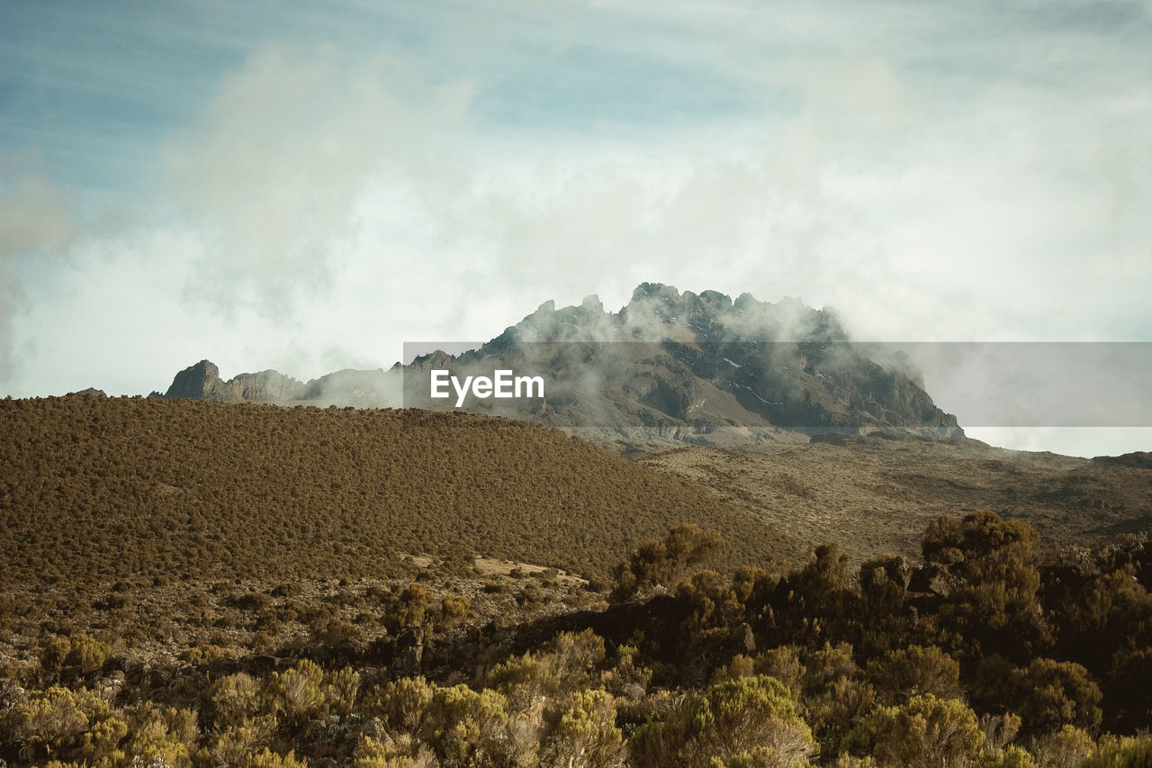 Mount kilimanjaro, moshi