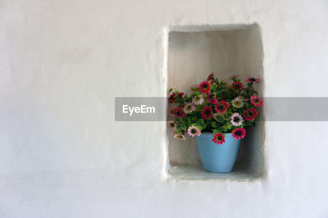 Potted plant on niche against white wall