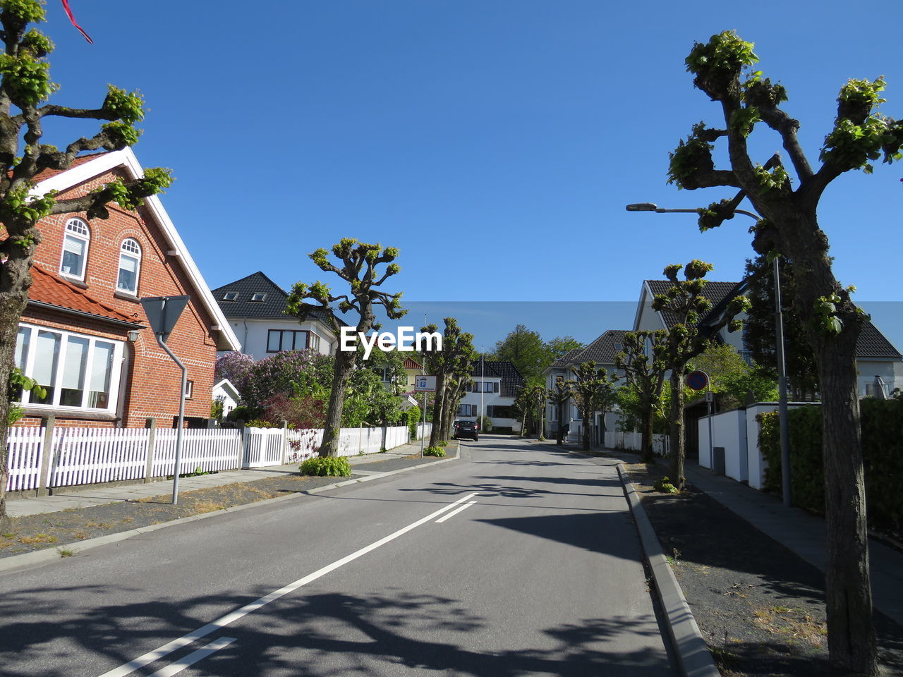 Street amidst trees and buildings against sky