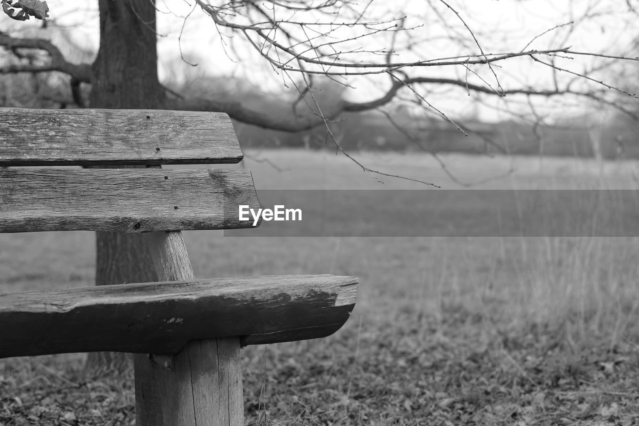 CLOSE-UP OF EMPTY BENCH ON FIELD