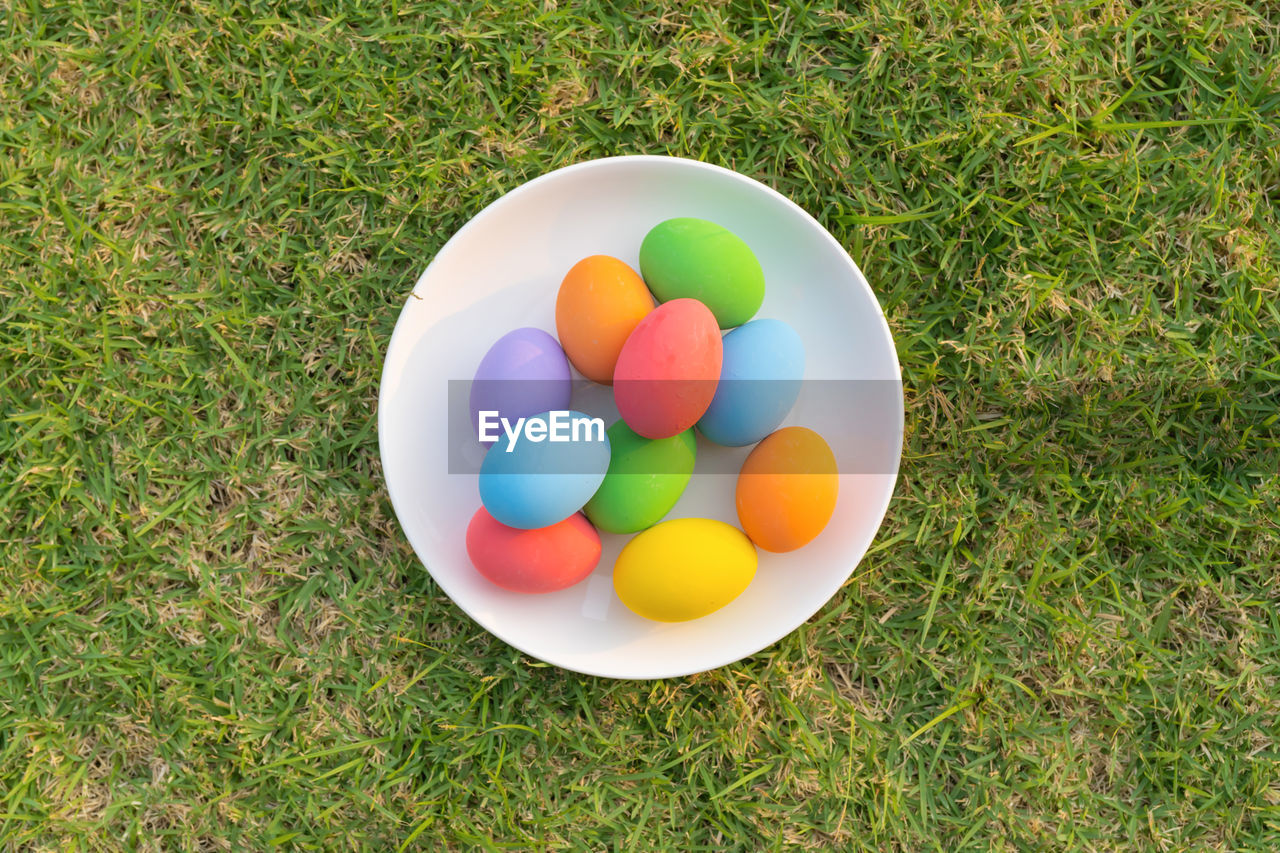 egg, grass, easter, easter egg, celebration, high angle view, multi colored, green, tradition, food, food and drink, plant, nature, holiday, no people, day, sweet food, freshness, event, directly above, balloon, animal egg, large group of objects, sweet, outdoors, field, grass area