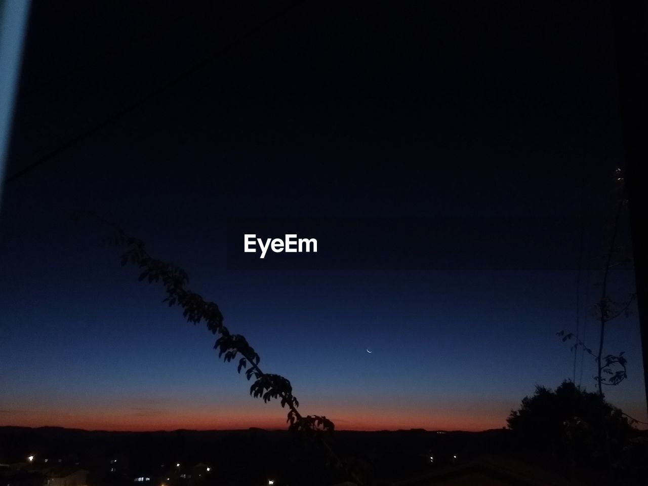 SILHOUETTE OF TREES AT NIGHT