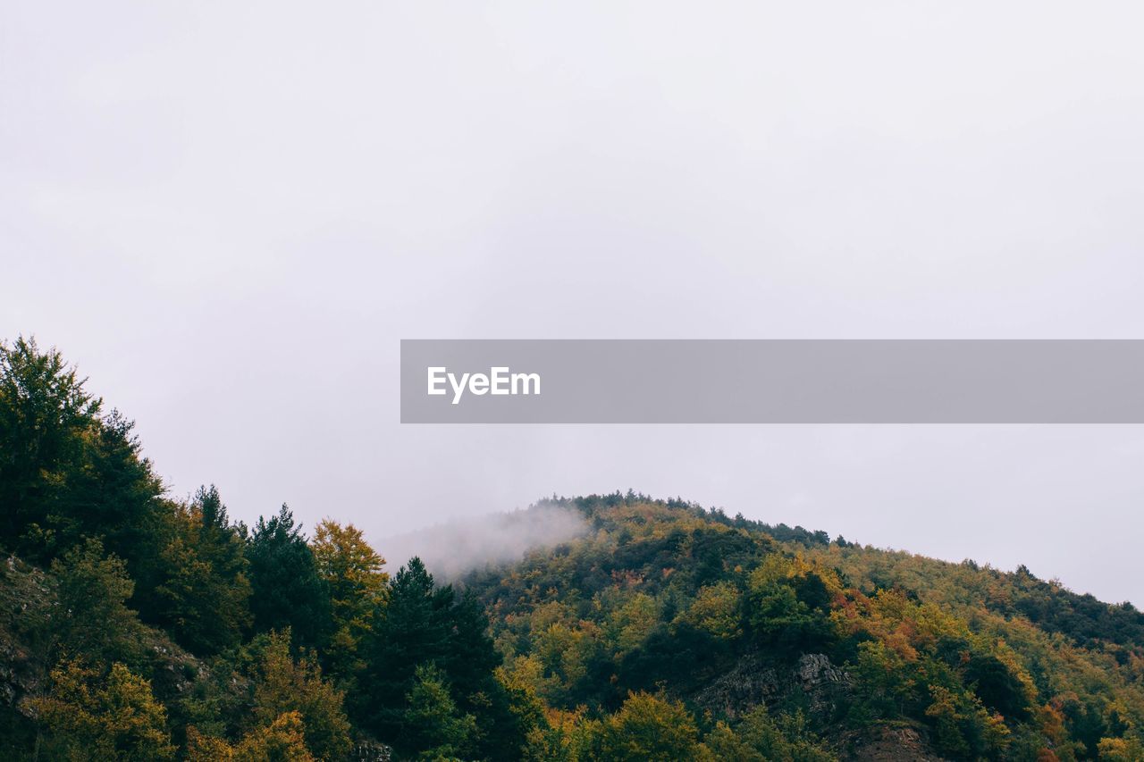 Low angle view of green mountain in foggy weather