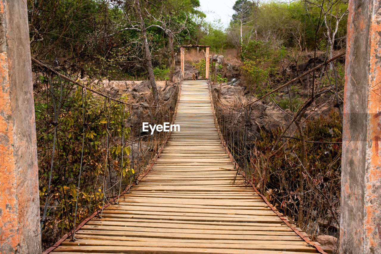 WOODEN FOOTBRIDGE AMIDST TREES AND PLANTS IN FOREST