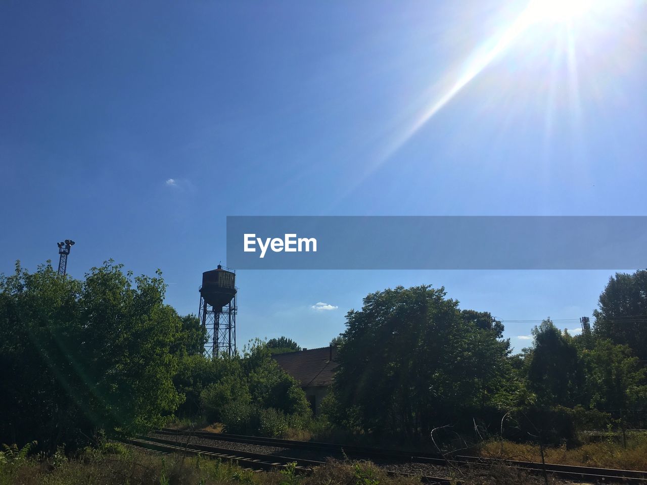 Railroad tracks and trees on field