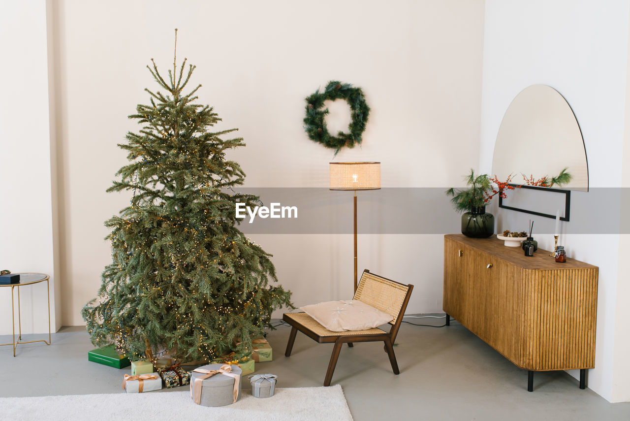 Beautiful minimalist fir tree or a christmas tree in a scandinavian living room. wooden chest 