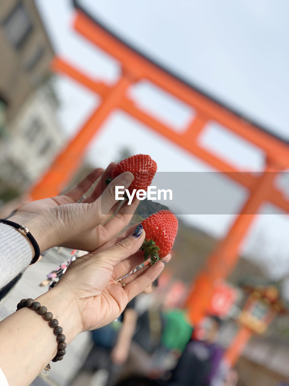 Hands holding delicious strawberries bought from the supermarket opposite the fushimi inari taisha 