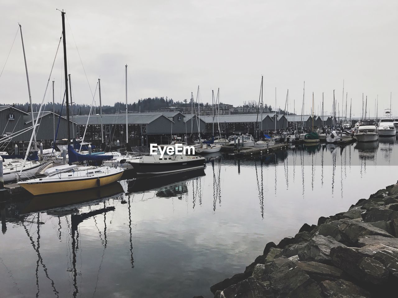 Boats moored at harbor