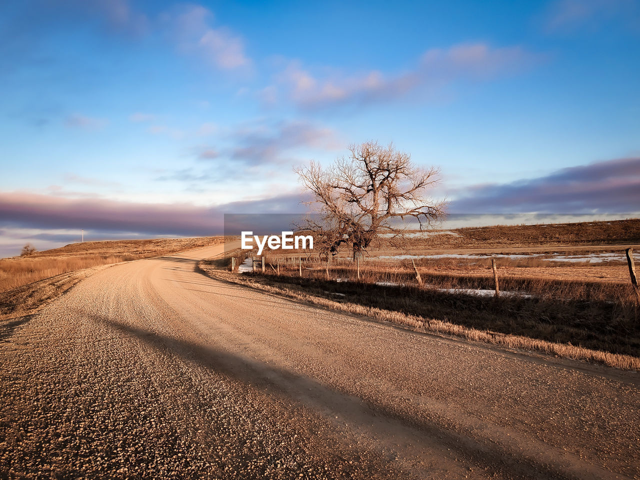 ROAD AMIDST BARE TREES ON LAND