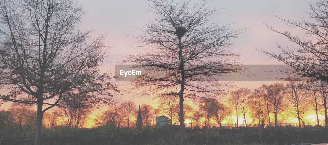 SILHOUETTE TREES ON LANDSCAPE AGAINST SKY