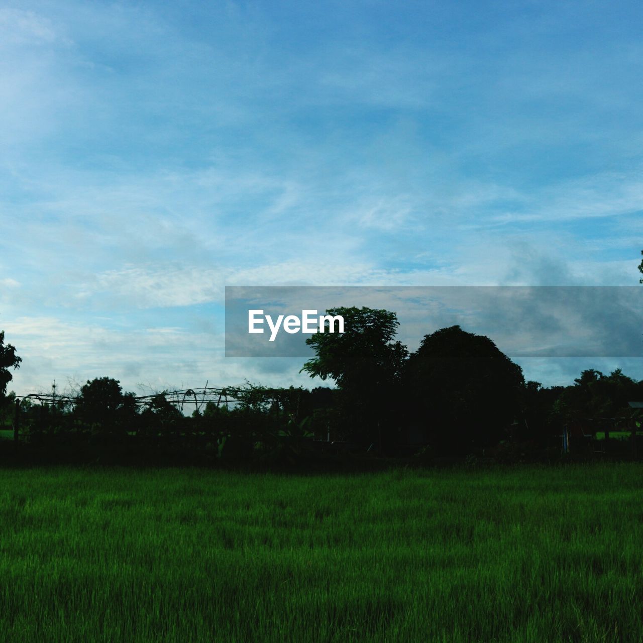 SCENIC VIEW OF LAND AGAINST SKY