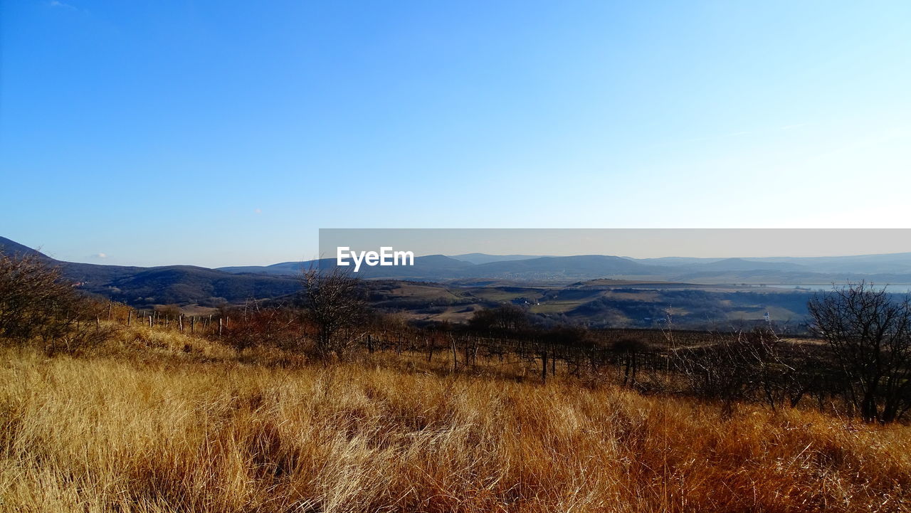 SCENIC VIEW OF FIELD AGAINST CLEAR SKY