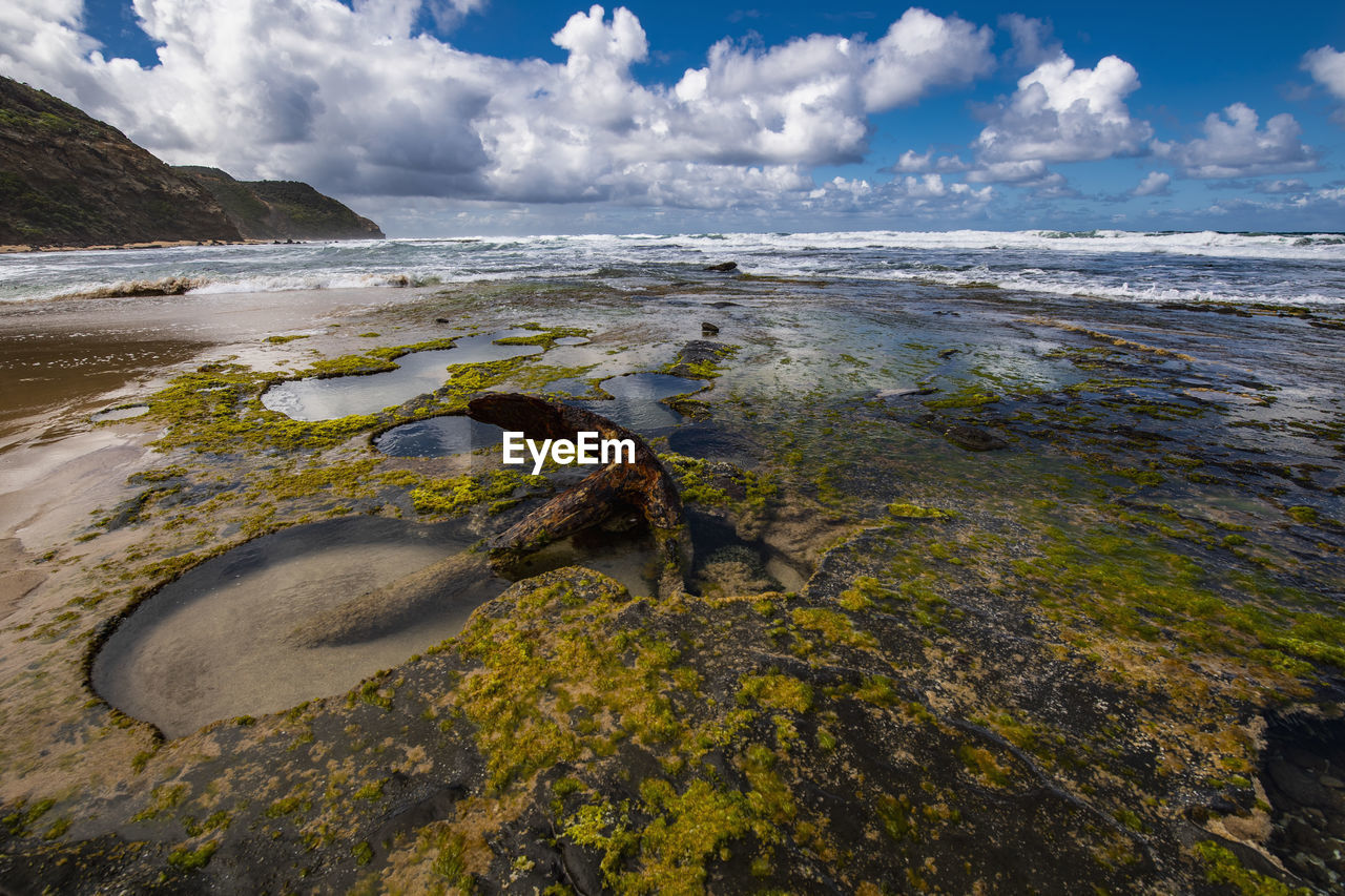 Anchor of stranded ship on wreck beach at victoria