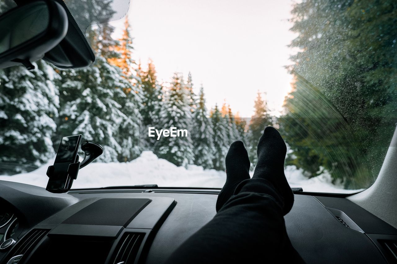 Low section of person in car against snowy mountain road and pine trees at sunset