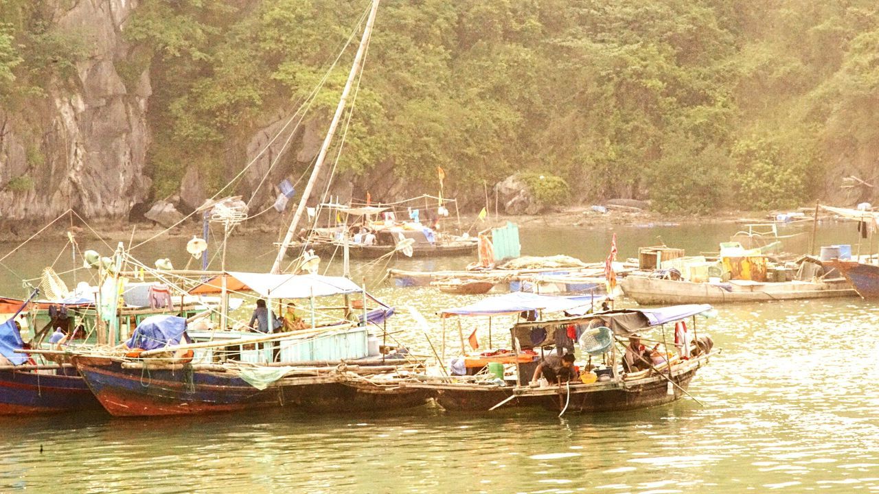 BOATS MOORED IN RIVER