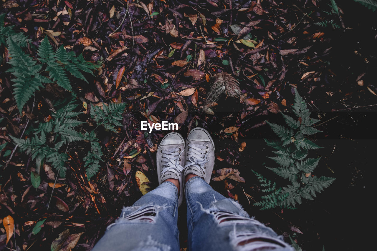 Low section of person standing on leaves covered land during autumn