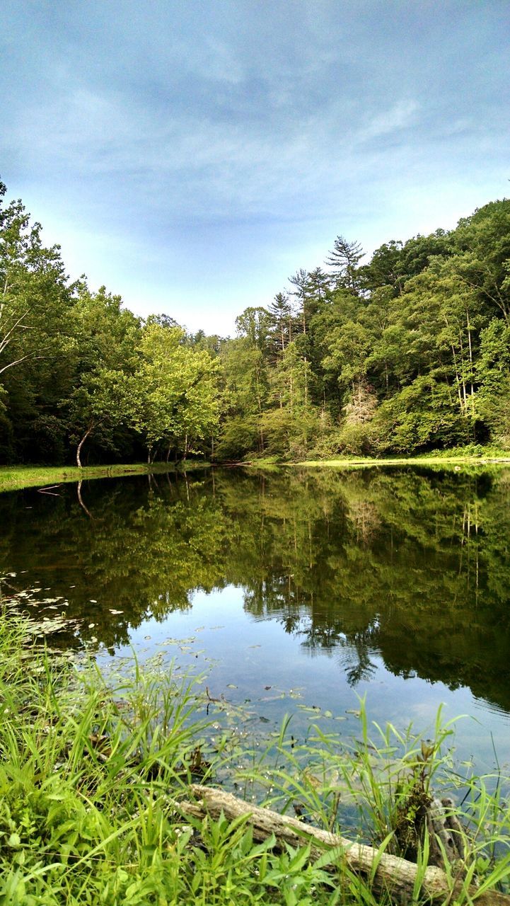 Scenic view of lake in forest against sky