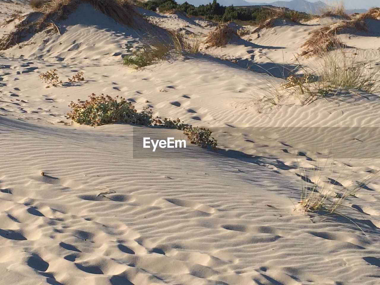 High angle view of sand dunes at beach
