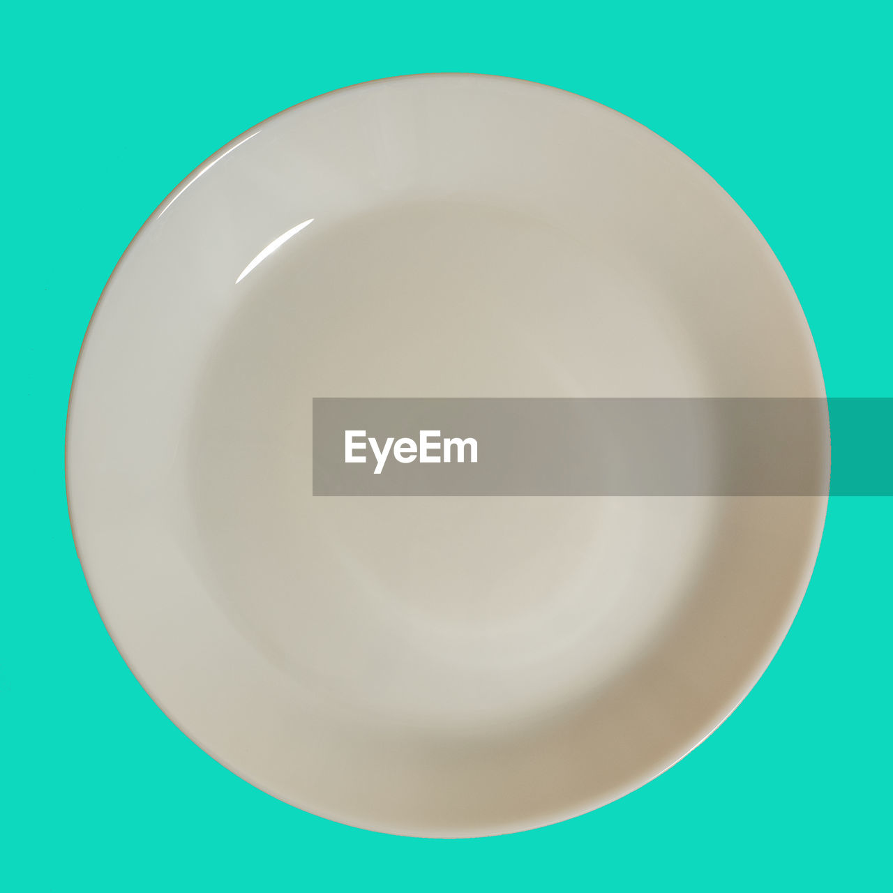 Empty plate on green background