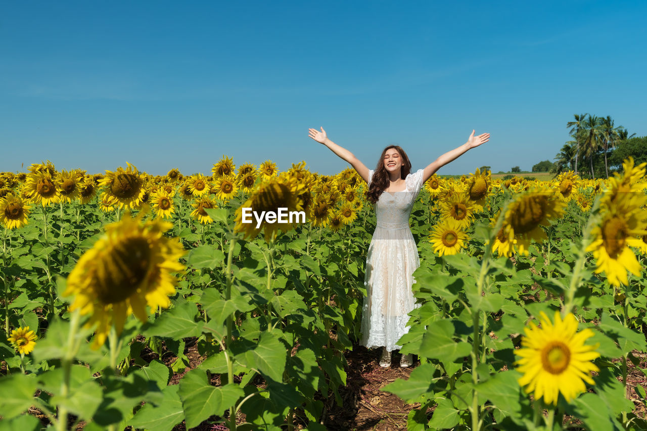 sunflower, plant, arm, flower, yellow, nature, flowering plant, one person, limb, field, arms raised, sky, women, adult, beauty in nature, freshness, growth, human limb, happiness, arms outstretched, young adult, landscape, rural scene, land, agriculture, environment, emotion, smiling, standing, cheerful, meadow, summer, positive emotion, sunlight, joy, blue, enjoyment, flower head, vitality, fashion, long hair, outdoors, leisure activity, carefree, female, copy space, day, farm, sunny, crop, hairstyle, three quarter length, idyllic, portrait, green, tranquility, clear sky, front view, lifestyles, full length, springtime, fun, dress, casual clothing, rural area, wildflower, produce, clothing