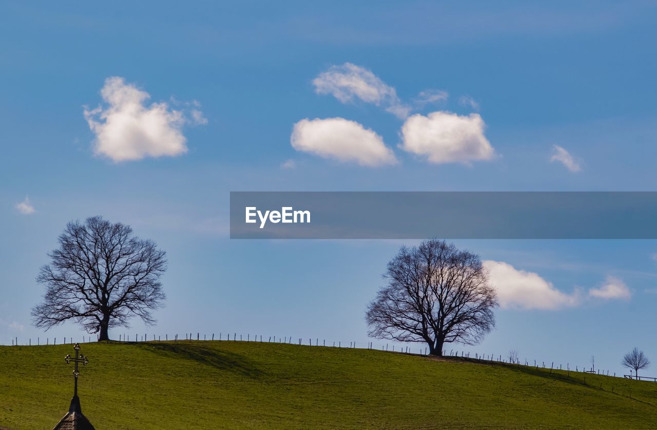 Bare tree on field against sky