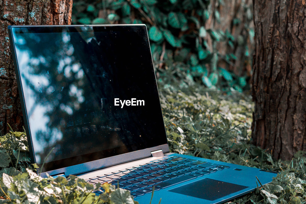 Laptop sitting in the grass under the shade of a tree