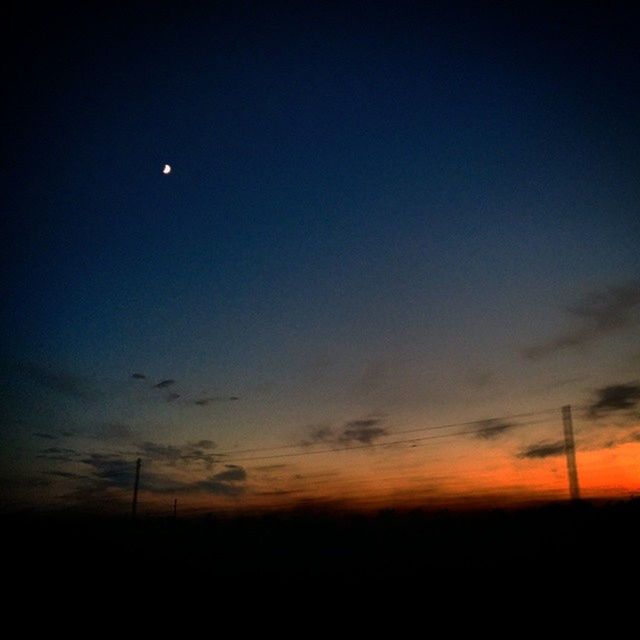 SILHOUETTE OF TREES AT SUNSET