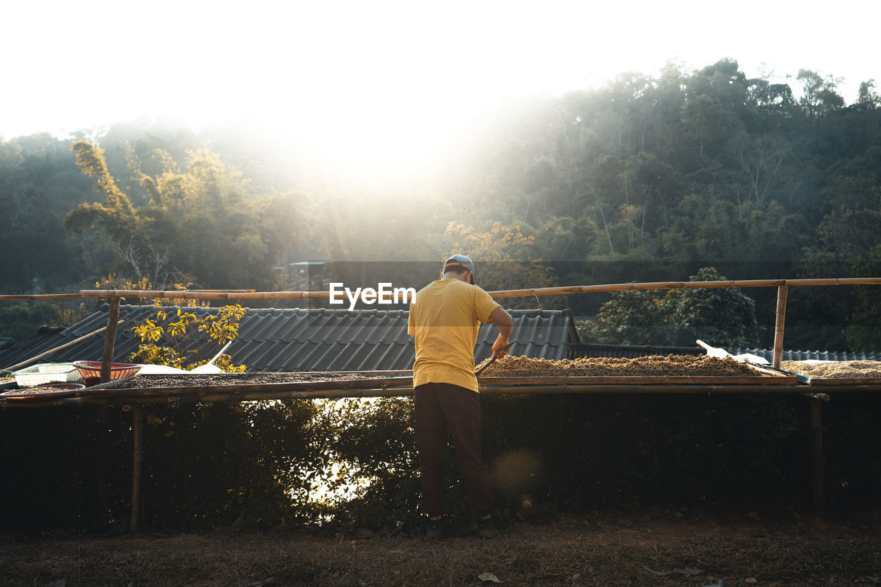 Rear view of man standing by railing against trees