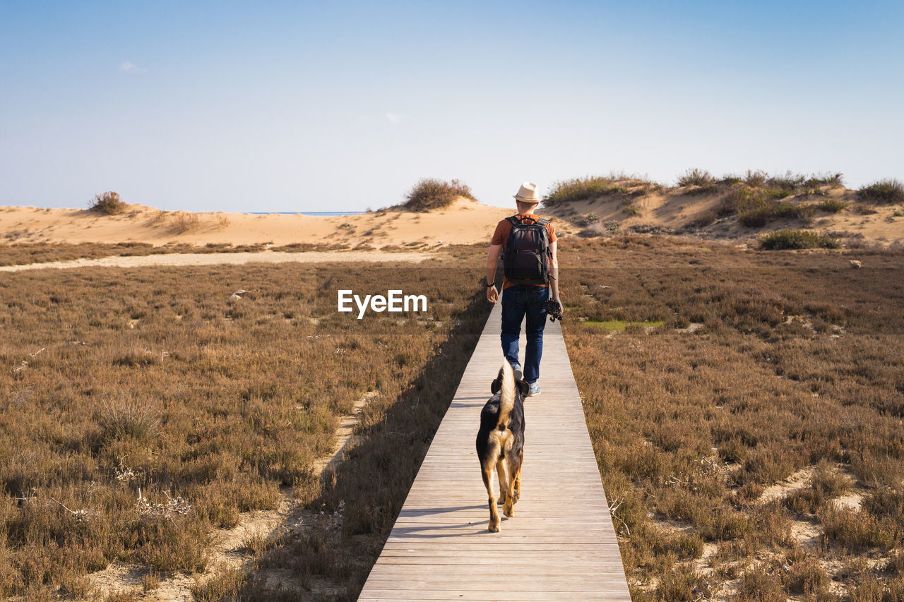 Rear view of man walking on land