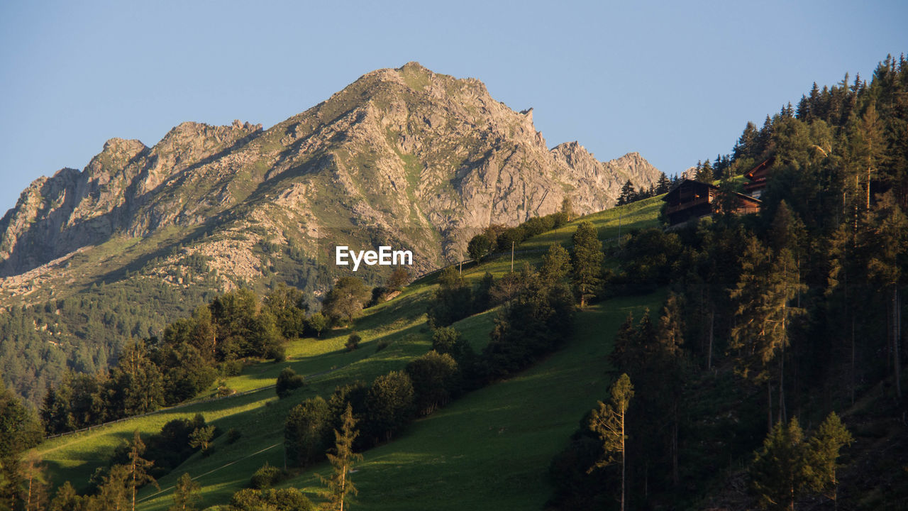 PANORAMIC VIEW OF LANDSCAPE AGAINST CLEAR SKY